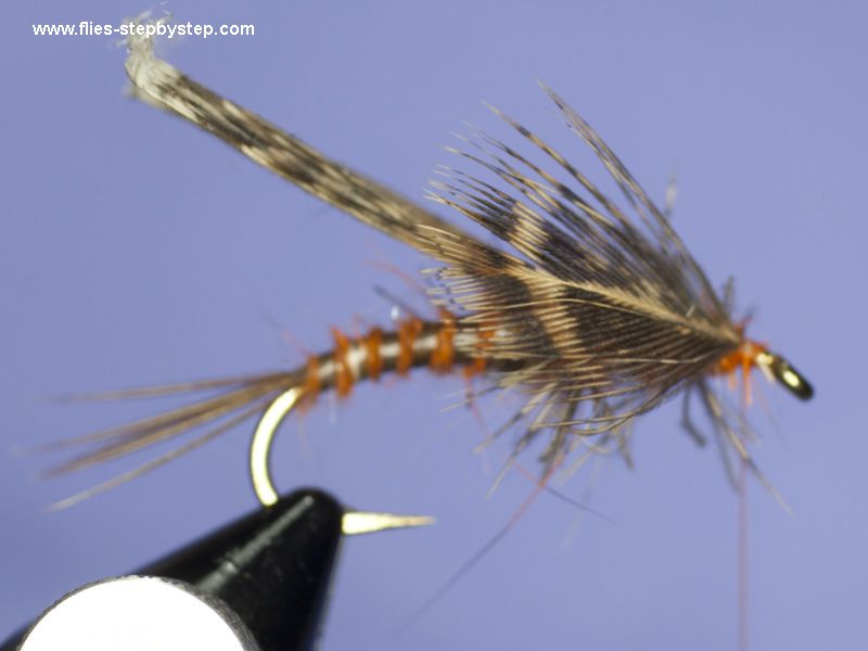 Stonefly nymph pattern - How to tie fly, Fly tying Step by Step ...